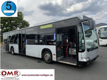 Mercedes Citaro O 530 - Bus interurbain: photos 1