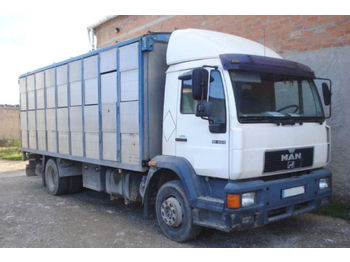 Camion bétaillère MAN 12.224 LC - 4x2. Truck to transport live cattle.: photos 1