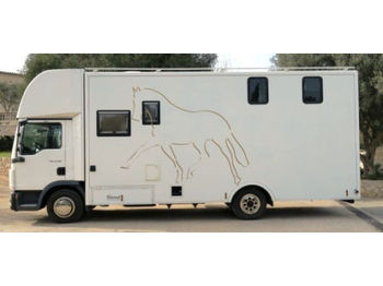 Camion bétaillère MAN 8.180 4X2 - CAPACITY FOR 3 HORSES + HAUSE: photos 1