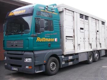 Camion bétaillère pour transport de animaux MAN TGA 26.530: photos 1