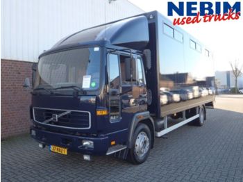 Camion fourgon pour transport de animaux Volvo FL6 180 4x2R Horse Truck (6) // TOP CONDITION: photos 1
