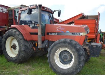 Tracteur agricole CASE Magnum 7250 Pro wheeled tractor: photos 1