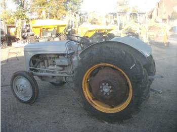 Tracteur agricole Grey Ferguson: photos 1