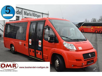 Minibus, Transport de personnes Fiat Ducato / Sprinter / 515 / 516 / Euro 5: photos 1