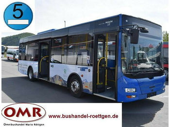 Bus urbain MAN A 66 Lion`s City / 530 K  / Midi / Klima / EEV: photos 1