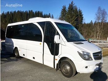 Minibus, Transport de personnes MERCEDES-BENZ Sprinter 519cdi: photos 1