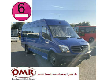 Minibus, Transport de personnes Mercedes-Benz 516 CDI Sprinter / 20 Sitzer / Euro 6: photos 1
