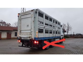Carrosserie fourgon pour transport de animaux WERKLUST: photos 1