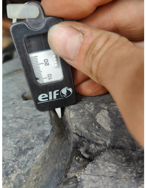 Camion ampliroll Steyr 19S31 19S32 Container Marrel