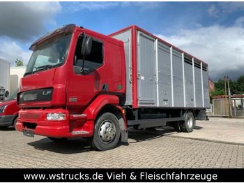 Camion bétaillère DAF LF 55 Einstock KABA