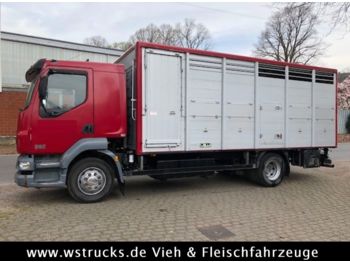 Camion bétaillère DAF LF 55 Einstock Köpf