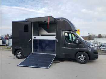 Camion bétaillère Fiat Böckmann Compact L Stall LKW