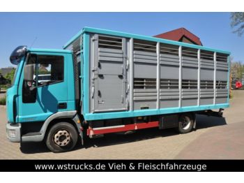 Camion bétaillère Iveco 10180