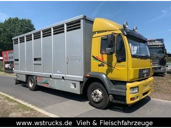 Camion bétaillère MAN 15.220 Menke Einstock