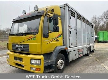 Camion bétaillère MAN 15.220 Menke Einstock