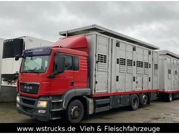 Camion bétaillère MAN TGX 26.440 LX Menke 3 Stock Hubdach