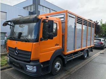 Camion bétaillère Mercedes-Benz 824L Einstock Vollalu