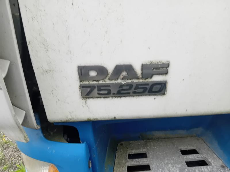 Camion fourgon DAF CF 75.250