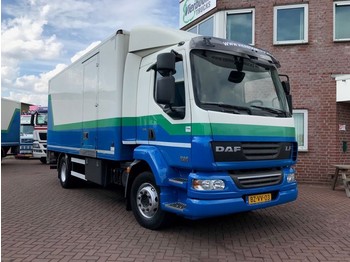 Camion fourgon DAF LF 55-220 EURO 5 BOX WITH TAILLIFT: photos 1