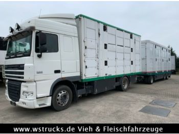 Camion bétaillère DAF XF 105/410 SC Menke 3 Stock Vollalu Komplett: photos 1