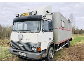 Camion bétaillère Iveco 145-17: photos 1