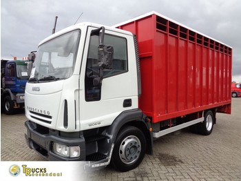 Camion bétaillère Iveco EuroCargo 120E18 + Manual + Horse Transport: photos 1