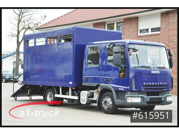 Camion bétaillère Iveco ML80E18D, Pferde, 7 Sitze, Doka Tüv 11/21: photos 1
