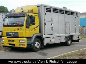 Camion bétaillère MAN 15.220 Menke Einstock: photos 1