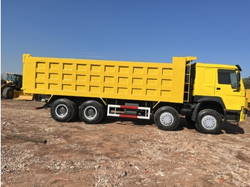 Camion benne pour transport de silo SINOTRUK HOWO 371 Dump Truck 8x4: photos 1