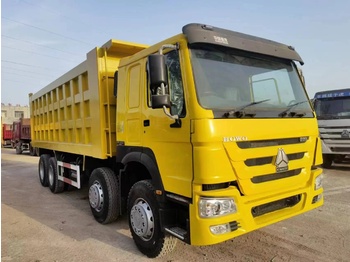 Camion benne pour transport de silo SINOTRUK HOWO 371 Dump truck 8x4: photos 1
