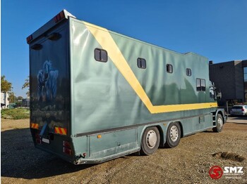 Camion chevaux Scania 113 paarden/mobilhome: photos 4