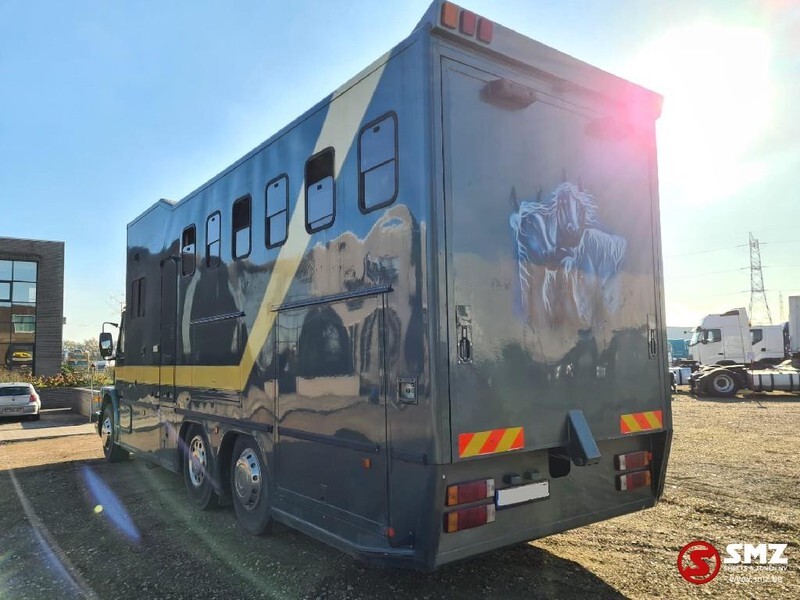 Camion chevaux Scania 113 paarden/mobilhome: photos 3