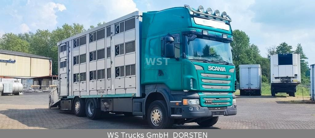 Camion bétaillère Scania R 440 Topline KABA 3 Stock Hubdach: photos 5