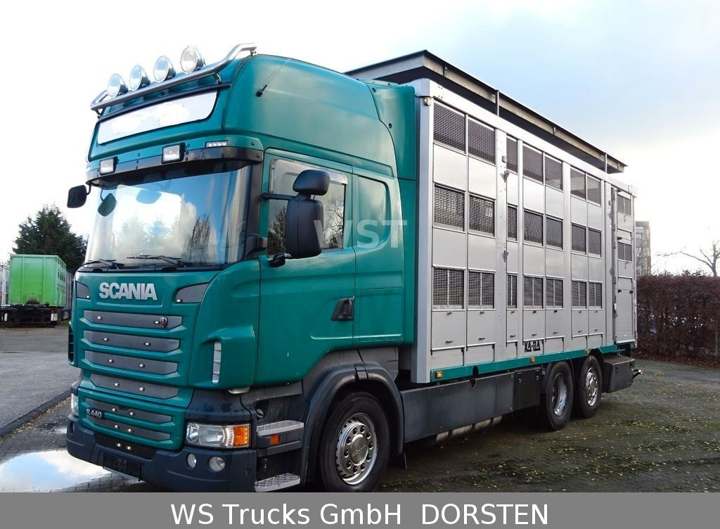 Camion bétaillère Scania R 440 Topline KABA 3 Stock Hubdach: photos 20