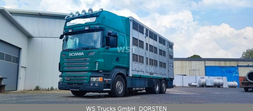 Camion bétaillère Scania R 440 Topline KABA 3 Stock Hubdach: photos 8
