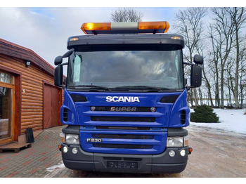 Scania Scania P280, 4x2, LIFTDUMPER  - Camion multibenne: photos 5