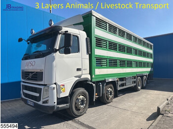 Camion bétaillère Volvo FH13 420 8x4, 3 Layers Animals Livestock Transport: photos 1