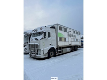 Camion bétaillère Volvo FH 13: photos 1