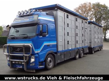 Camion bétaillère Volvo FH 460 Globe XL  Menke 4 Stock Kompletter Zug: photos 1
