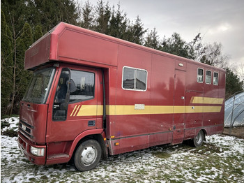 Camping-car IVECO