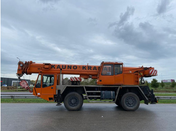 Grue mobile DEMAG