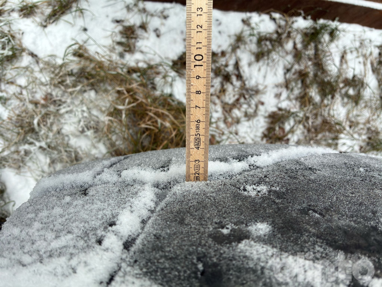 Chargeuse sur pneus CAT 924G