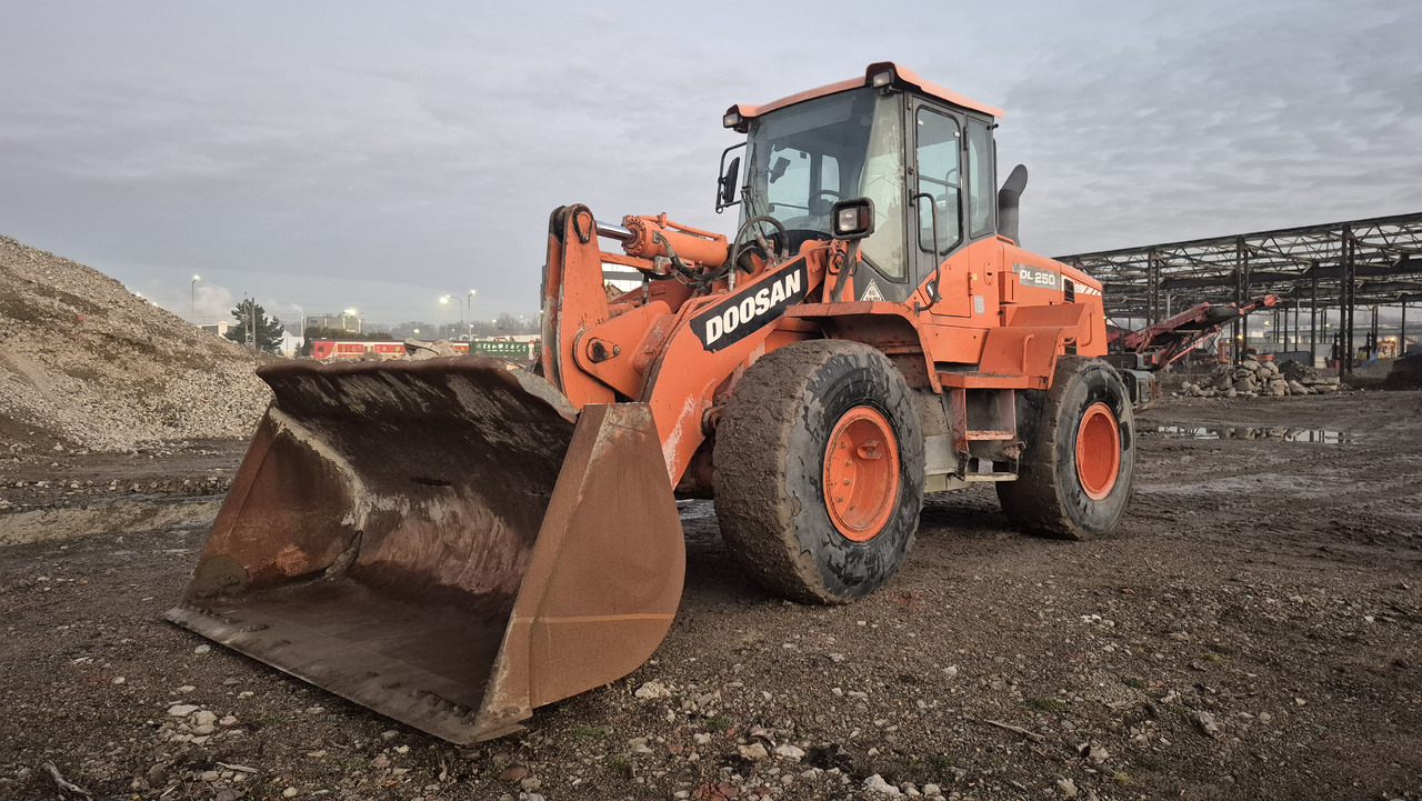 Chargeuse sur pneus DOOSAN DL250-3