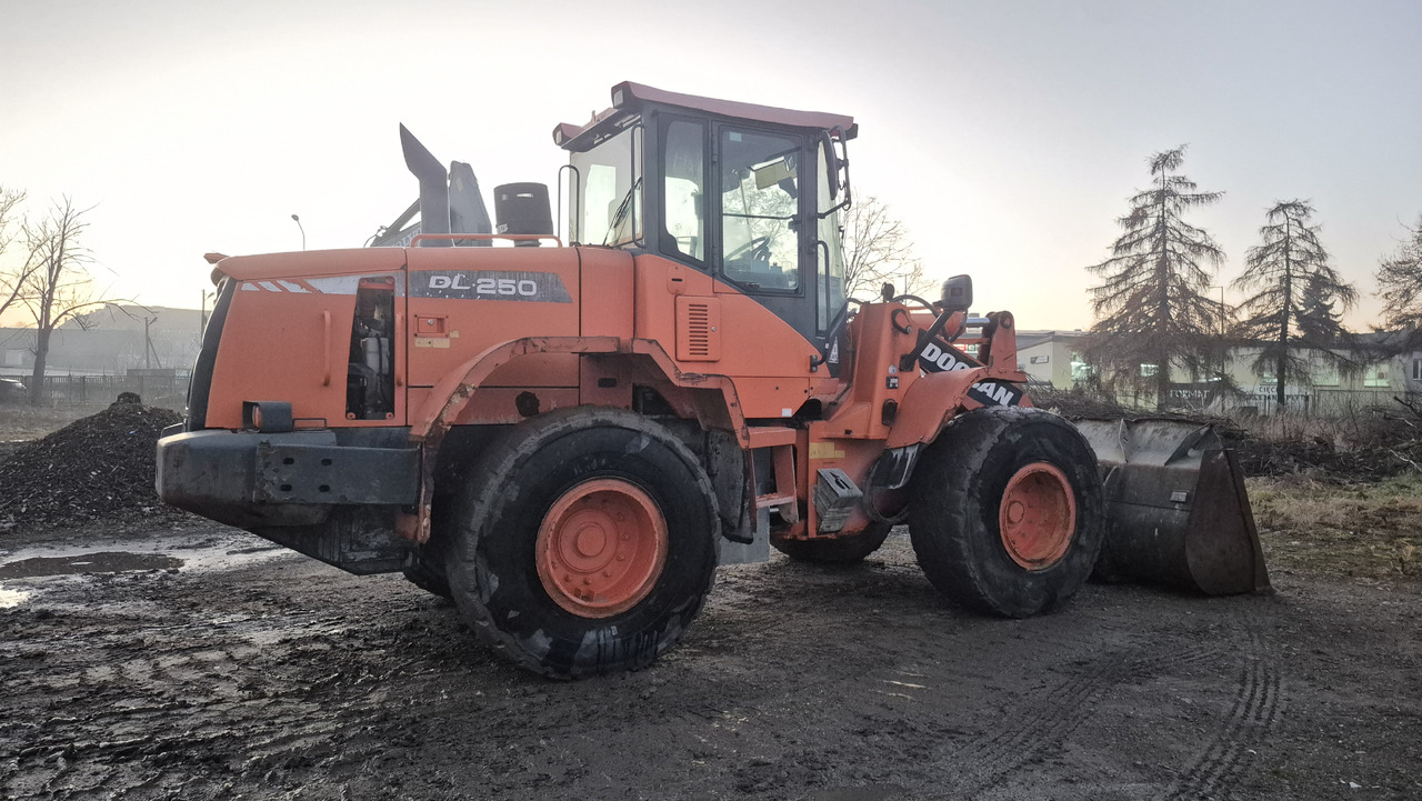 Chargeuse sur pneus DOOSAN DL250-3