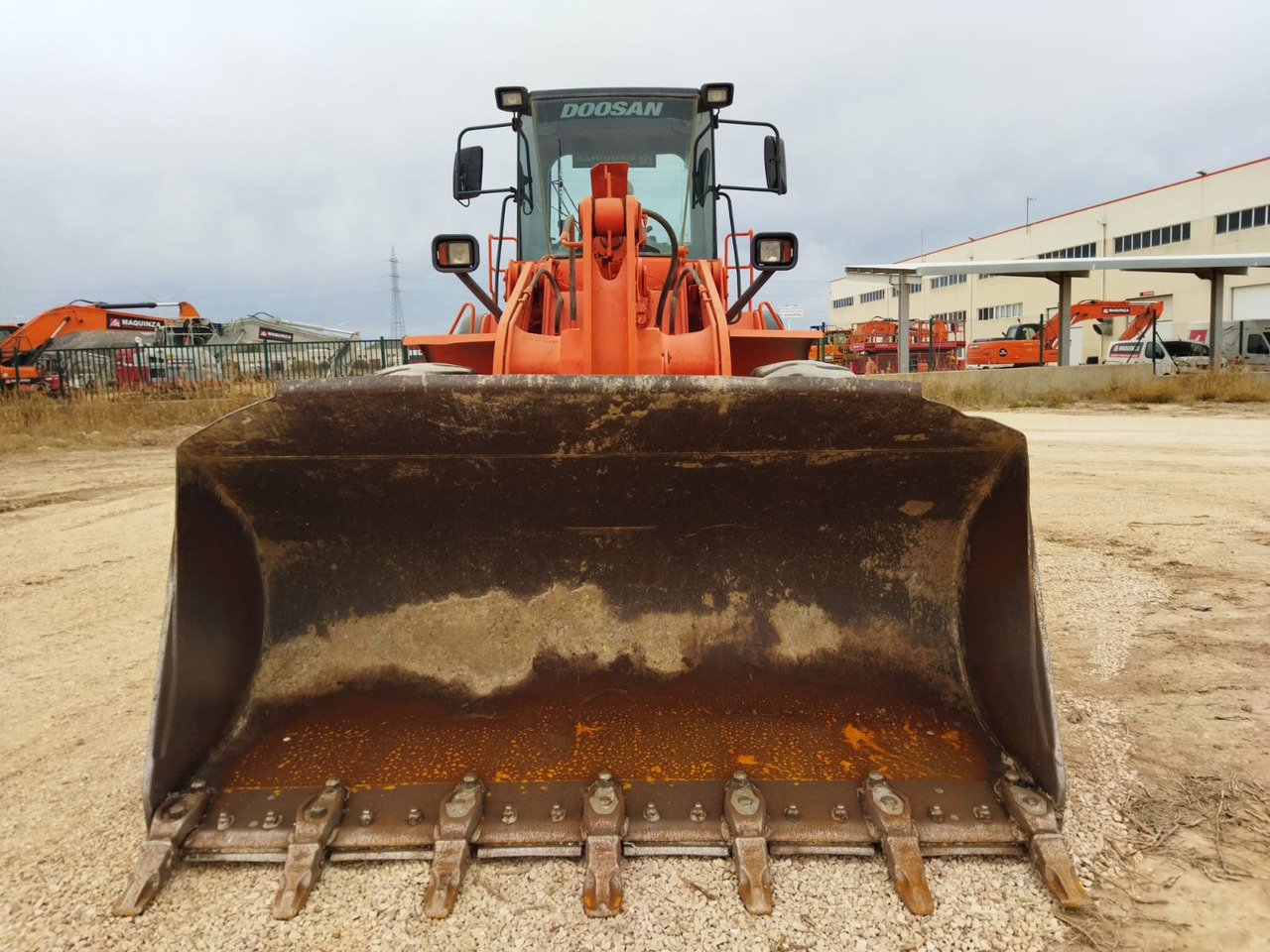 Chargeuse sur pneus DOOSAN DL300