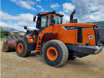 Chargeuse sur pneus Doosan DL300