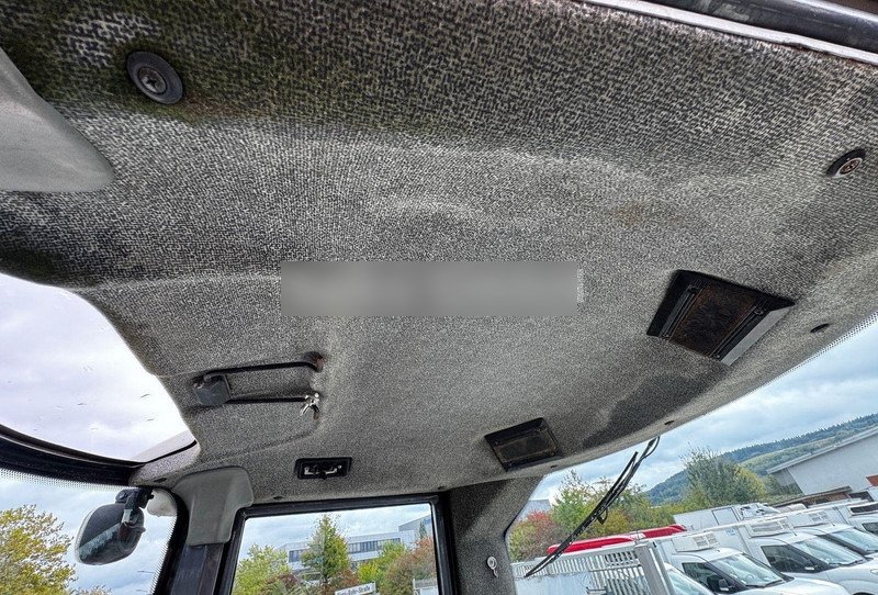 Chargeuse sur pneus Terex TL 100