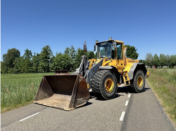 Chargeuse sur pneus Volvo L110E