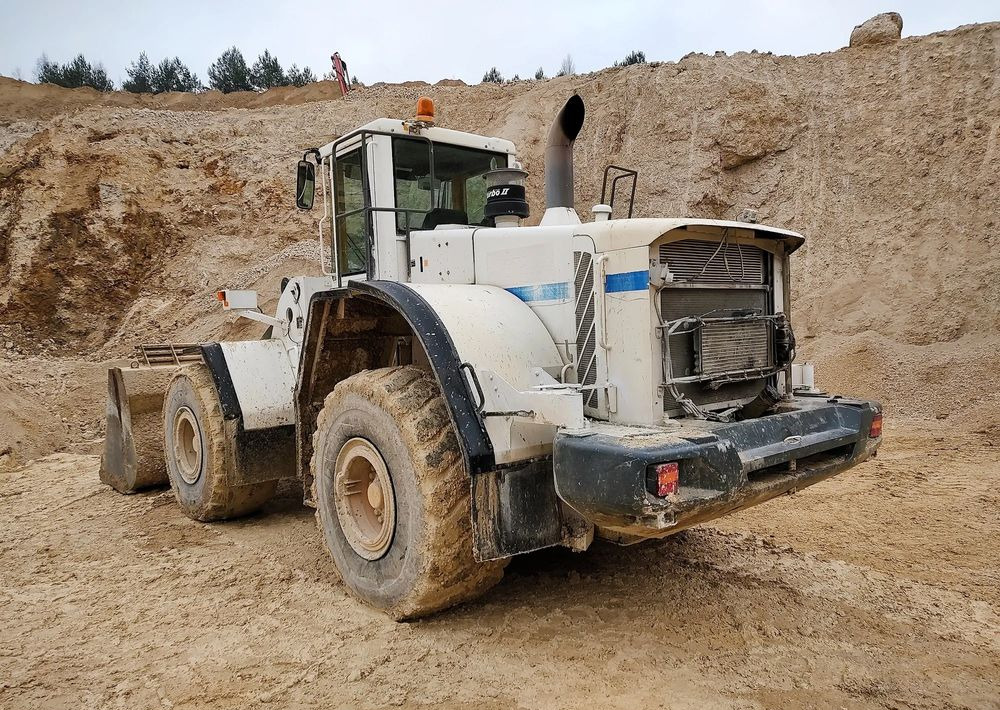 Chargeuse sur pneus Volvo L180E