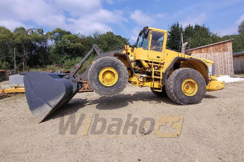 Chargeuse sur pneus Volvo L220E